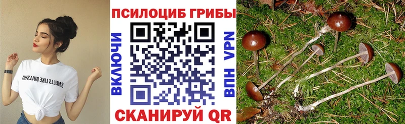 Псилоцибиновые грибы ЛСД  наркотики  Можайск 
